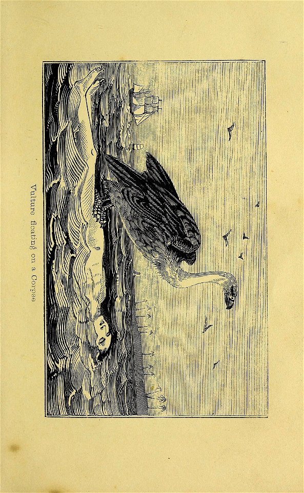 n144_w1150