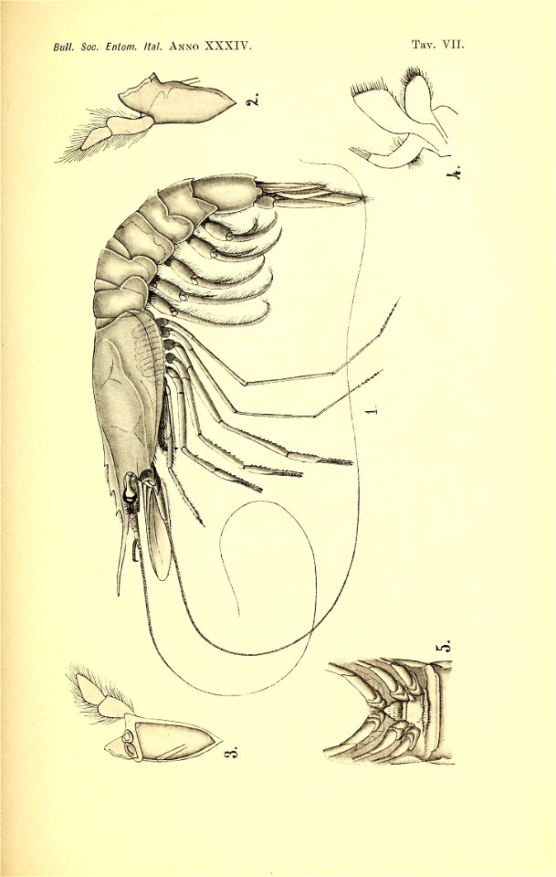 n158_w1150