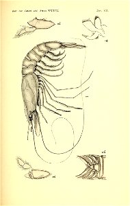 n158_w1150