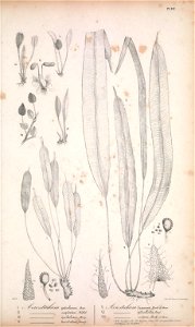 n168_w1150