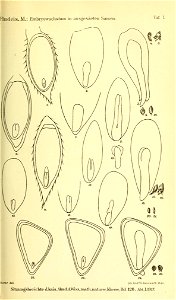 n122_w1150