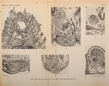 n1128_w1150