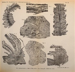 n436_w1150