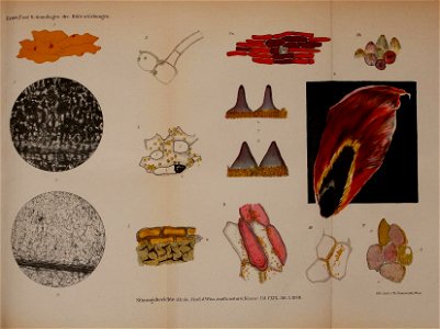 n282_w1150