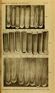 n1476_w1150