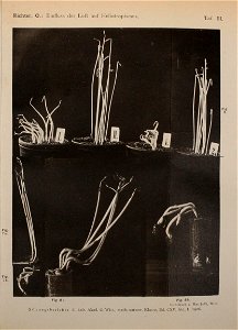 n432_w1150