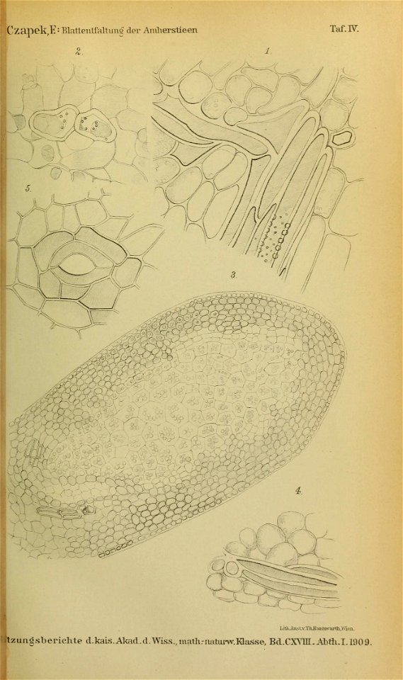 n294_w1150