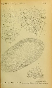 n294_w1150