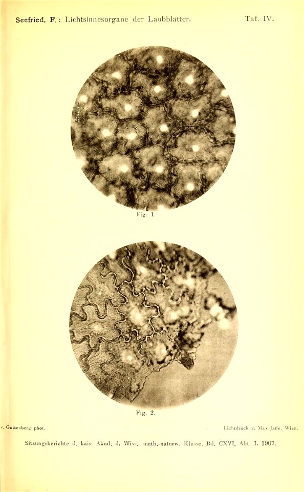 n564_w1150
