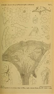n608_w1150