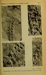 n1258_w1150