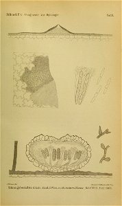 n1366_w1150