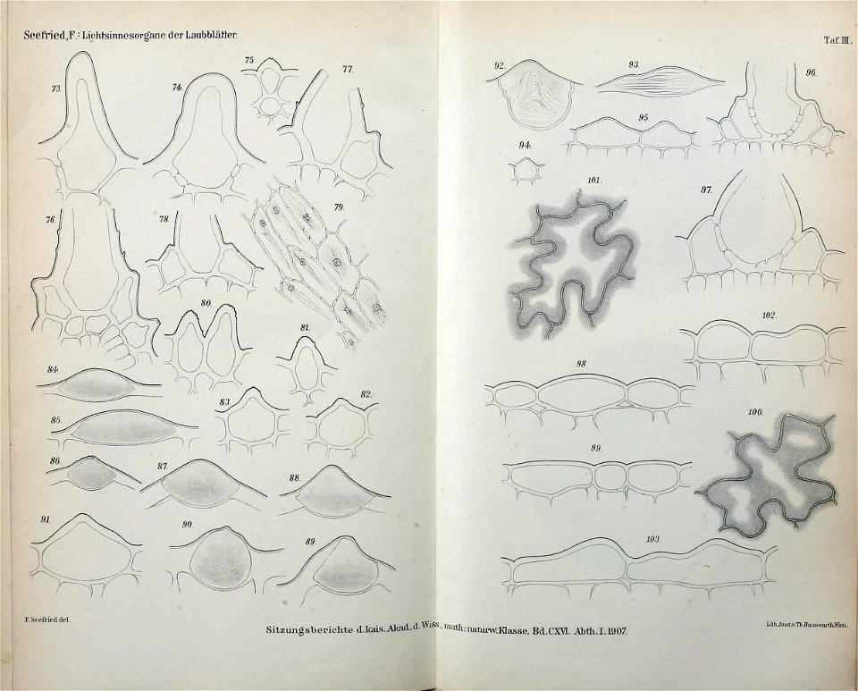 n562_w1150