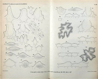 n562_w1150