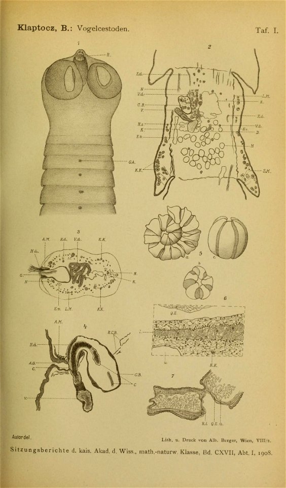 n374_w1150