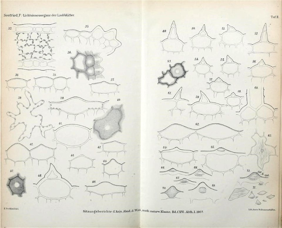 n556_w1150