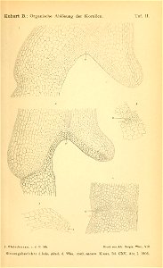n1714_w1150