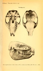 n1162_w1150