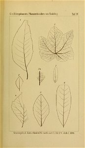 n554_w1150
