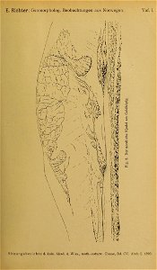 n200_w1150