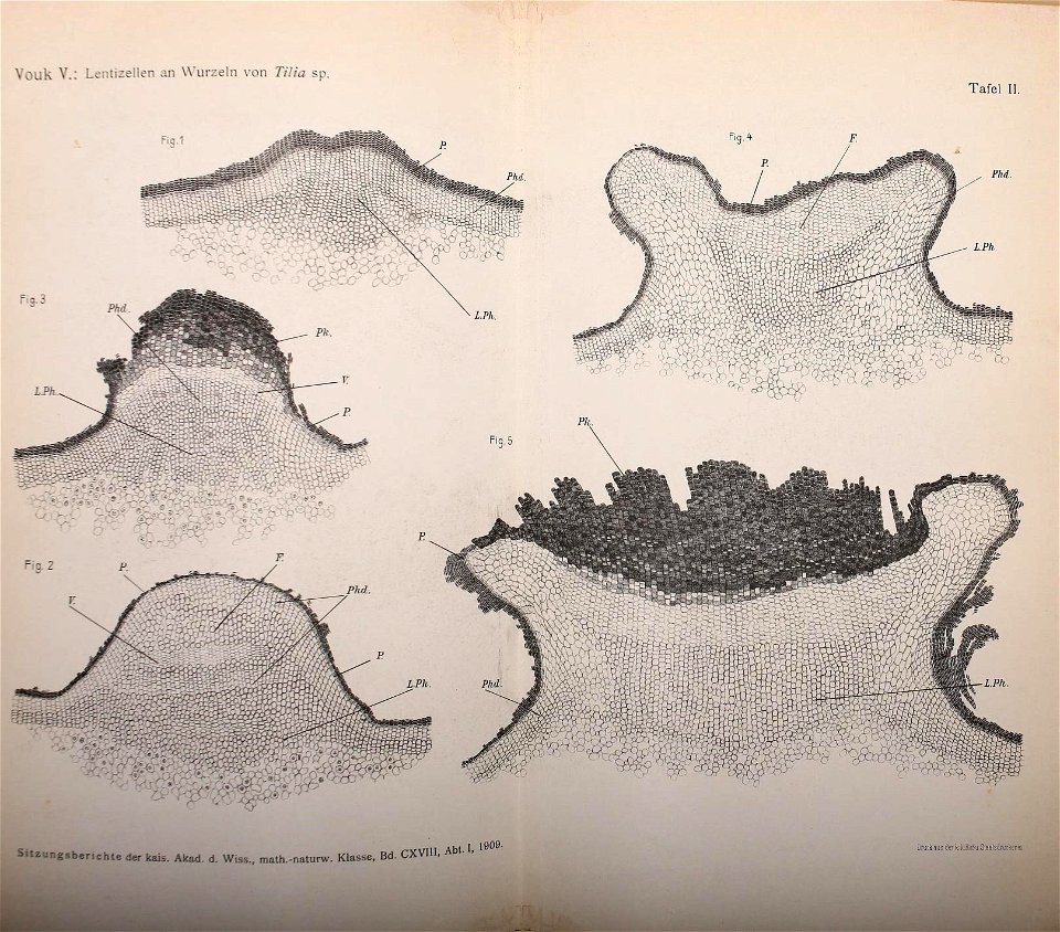 n1204_w1150