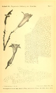 n1712_w1150
