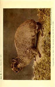 n1160_w1150