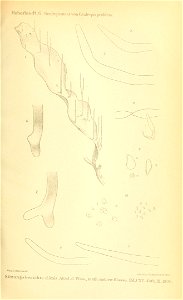 n720_w1150