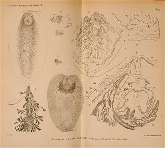 n691_w1150