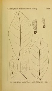 n552_w1150