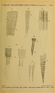 n154_w1150