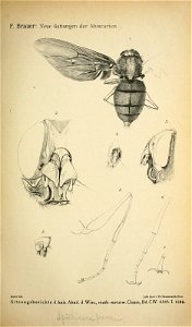 n694_w1150
