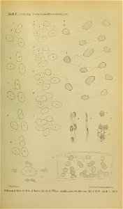 n1402_w1150