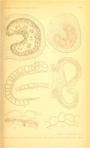 n1682_w1150