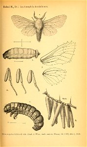 n622_w1150