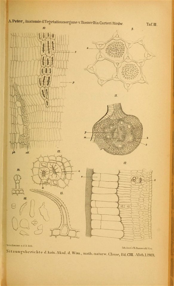 n622_w1150