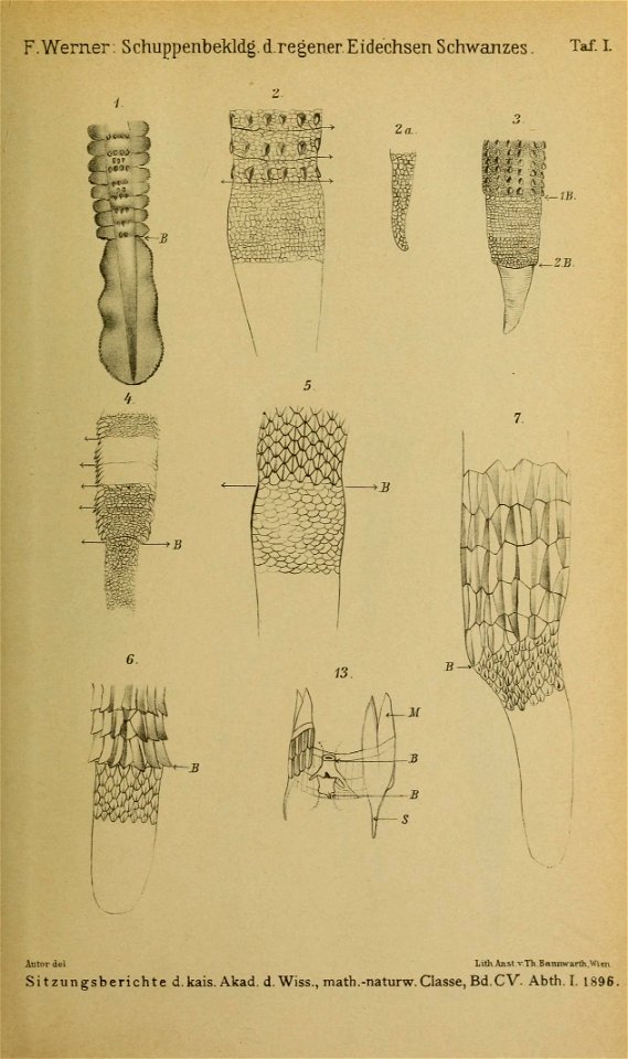 n152_w1150