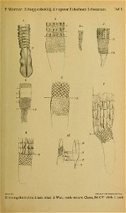 n152_w1150