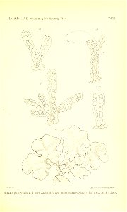 n942_w1150