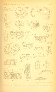 n1680_w1150