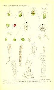 n940_w1150