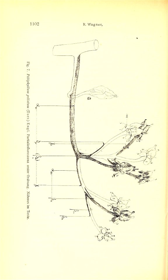 n277_w1150