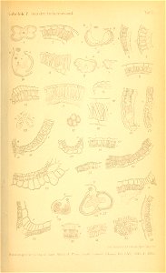 n1678_w1150