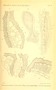 n1114_w1150