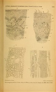 n618_w1150