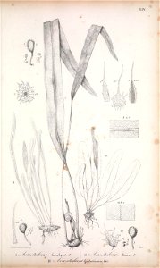 n170_w1150