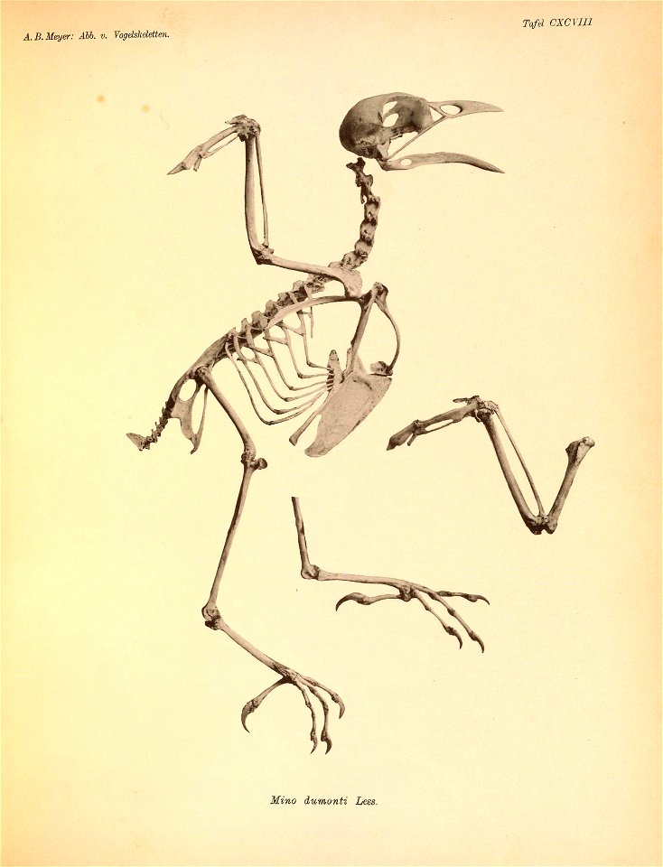 n302_w1150