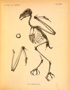 n152_w1150