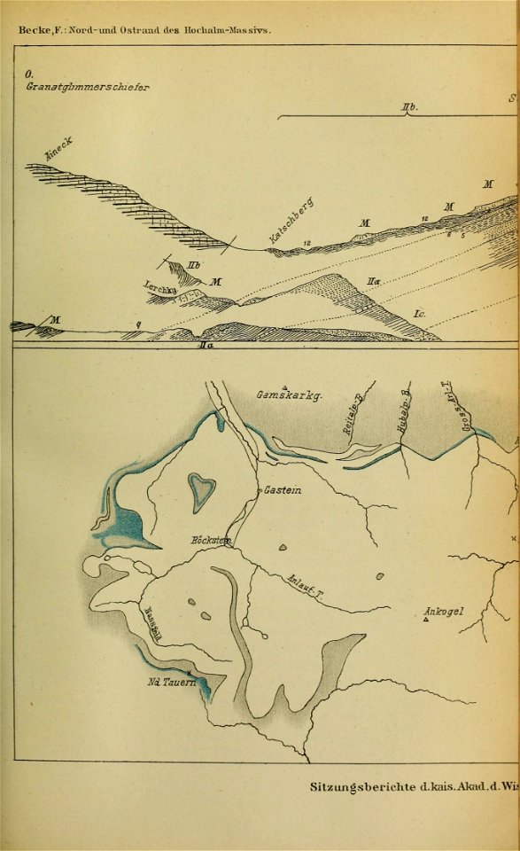 n494_w1150