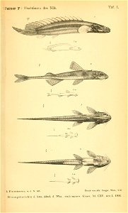 n1328_w1150